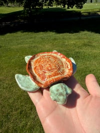 Image 1 of Toby the Turtle