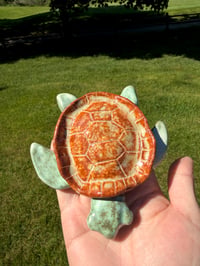 Image 2 of Toby the Turtle