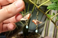 Image 1 of Robin family earrings