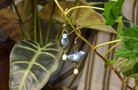 Image 8 of Pigeon family earrings
