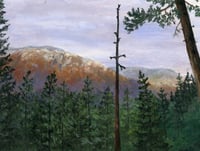 Image 1 of Methow View
