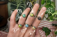 Image 11 of Colorful ladybug rings (adjustable)