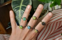 Image 2 of Colorful ladybug rings (adjustable)