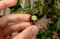 Image 8 of Colorful ladybug rings (adjustable)
