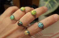 Image 1 of Colorful ladybug rings (adjustable)