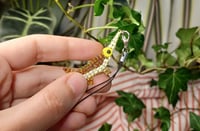 Image 2 of Spotted gar charms