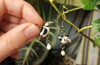 Image 1 of Great spotted woodpecker family earrings
