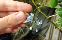 Image 1 of Blue jay family earrings