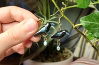 Image 1 of Raven family earrings