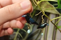 Image 3 of Raven family earrings
