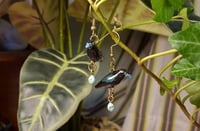 Image 5 of Raven family earrings
