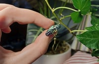 Image 6 of Starling family earrings