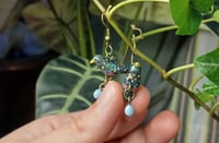 Image 3 of Starling family earrings