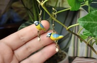 Image 4 of Blue tit family earrings