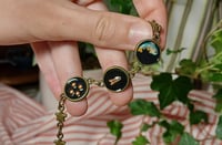 Image 3 of Rainbow trout life cycle bracelet