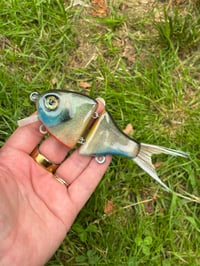 3inch Resin Bluegill Wakebait