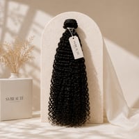 SVBEAUTÉ Kinky Curly Extensions