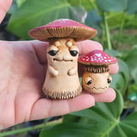 **NEW** Shroomin