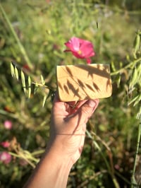 Image 3 of Milky Oat Bar