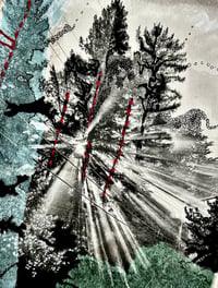 Fractured Light, Joy Every