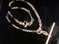 Image 1 of EDWARDIAN 18CT PLATINUM ALBERT CHAIN 17.5 INCHES 24.6G