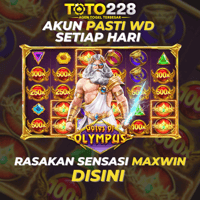 toto228