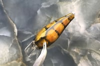 Image 4 of Squarebill LC 1.5 Crankbait  2459