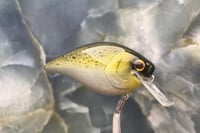 Image 2 of Squarebill LC 2.5 Crankbait 2504