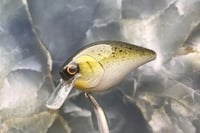 Image 1 of Squarebill LC 2.5 Crankbait 2504