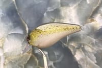 Image 3 of Squarebill LC 2.5 Crankbait 2504