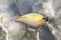 Image 4 of Squarebill LC 2.5 Crankbait 2504