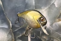 Image 3 of SCRANK 1.5 Crankbait   2519