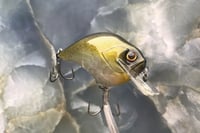 Image 6 of SCRANK 1.5 Crankbait   2519