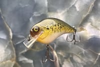 Image 1 of SCRANK 1.2 Crankbait  2555