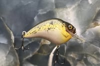 Image 3 of SCRANK 1.2 Crankbait  2555