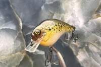 Image 5 of SCRANK 1.2 Crankbait  2555