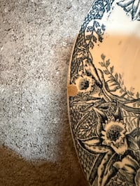 Image 5 of Assiettes creuses en terre de fer Saint Amand modèle « narcisses » - Art de la table ancien 