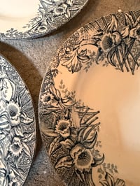 Image 6 of Assiettes creuses en terre de fer Saint Amand modèle « narcisses » - Art de la table ancien 