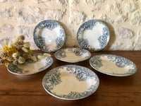 Image 2 of Assiettes creuses en terre de fer Saint Amand modèle « narcisses » - Art de la table ancien 