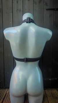 Image 4 of Spiderweb Rockstar Bra