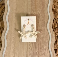 Large tan starfish 