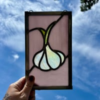 Image 1 of Lavender Garlic Mini Window
