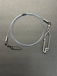 Daytime Swordfish Lead Leash