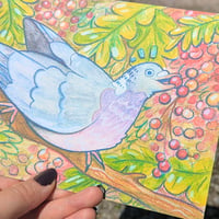 Image 2 of Wood Pigeon - Digital Print