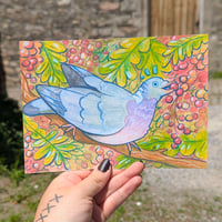 Image 1 of Wood Pigeon - Digital Print
