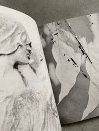 Image 3 of In Aspic by Maik Gräf