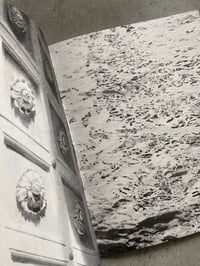 Image 4 of In Aspic by Maik Gräf