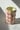 *PREORDER* Wavy Straw Cup