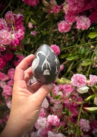 Image 3 of Egret Egg
