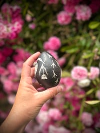 Image 4 of Egret Egg